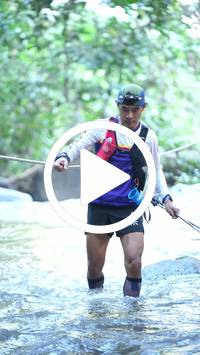 BIB:  <button type="button" onclick="openModal(26829618)" class="btn btn-primary btn-sm float-right" data-toggle="modal" data-target=".modal-high-quality">
                <i class="fa fa-download"></i> Download
                </button>